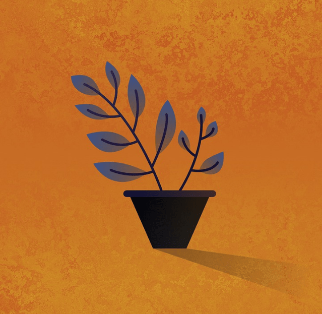 Cómo se Hace un Diseño Gráfico Bidimensional