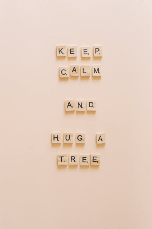 Cómo se hace un Vector en Diseño Gráfico