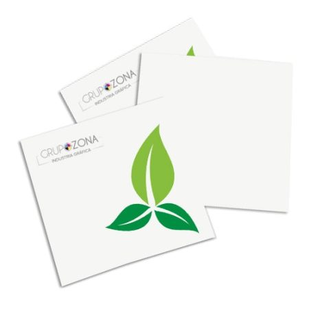 Flyers en papeles ecológicos/naturales impresos a una cara