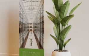 Gratis Rollup PSD Imagen Interior